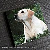 Yellow Lab Magnetic Note Pad